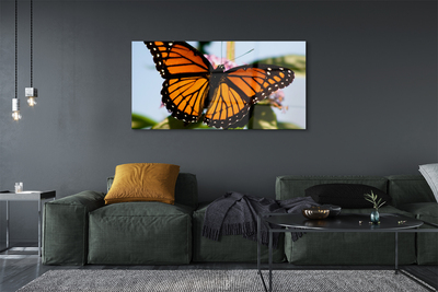 Obraz na szkle Kolorowy motyl