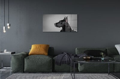 Obraz na szkle Czarny pies
