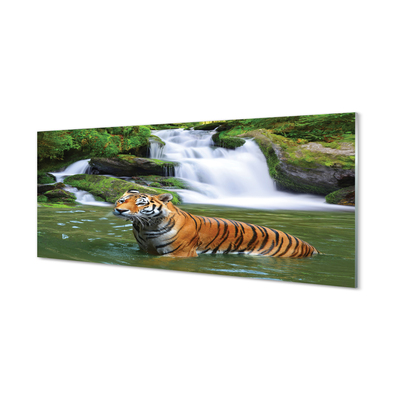 Obraz na szkle Tygrys wodospad