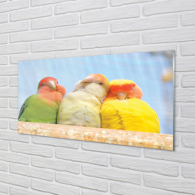 Obraz na szkle Kolorowe papugi