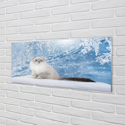 Obraz na szkle Kot zimą