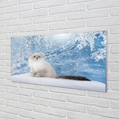 Obraz na szkle Kot zimą