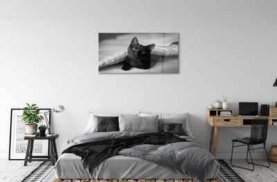 Obraz na szkle Kot pod kołdrą