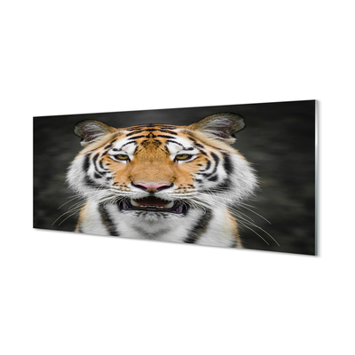 Obraz na szkle Tygrys