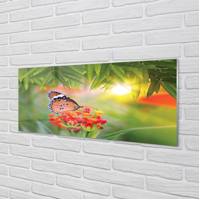Obraz na szkle Kolorowy motyl kwiaty