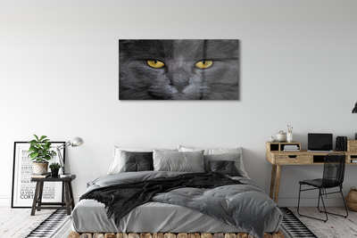 Obraz na szkle Czarny kot