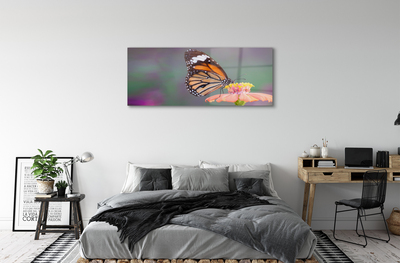 Obraz na szkle Kolorowy motyl kwiat