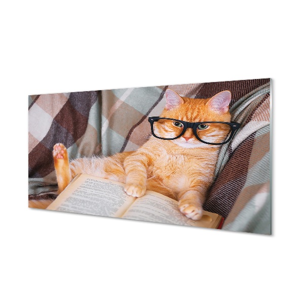 Obraz na szkle Czytający kot