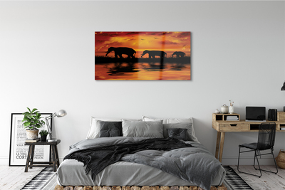 Obraz na szkle Zachód słonie jezioro