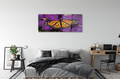 Obraz na szkle Kolorowy motyl kwiaty