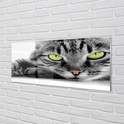 Obraz na szkle Szaro-czarny kot