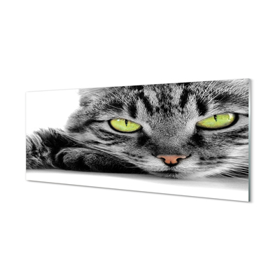 Obraz na szkle Szaro-czarny kot