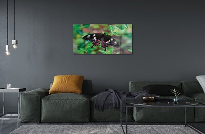 Obraz na szkle Liście kolorowy motyl