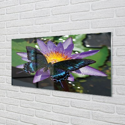 Obraz na szkle Kwiat motyl
