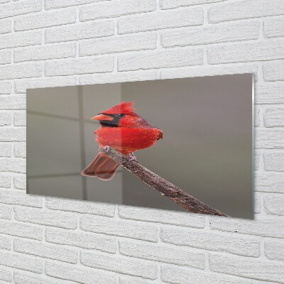 Obraz na szkle Czerwona papuga na gałęzi