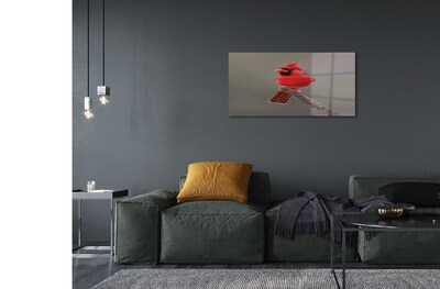 Obraz na szkle Czerwona papuga na gałęzi