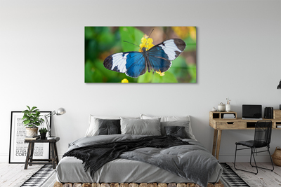 Obraz na szkle Kolorowy motyl na kwiatach