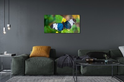 Obraz na szkle Kolorowy motyl na kwiatach