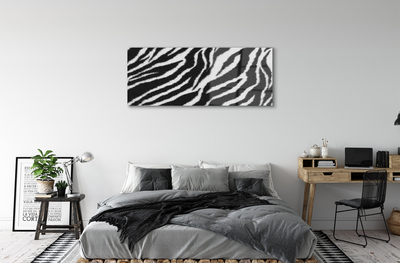 Obraz na szkle Zebra sierść