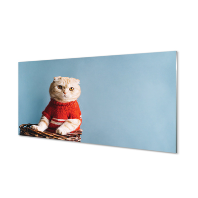 Obraz na szkle Siedzący kot