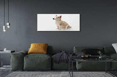 Obraz na szkle Siedzący mały pies