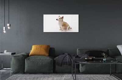 Obraz na szkle Siedzący mały pies