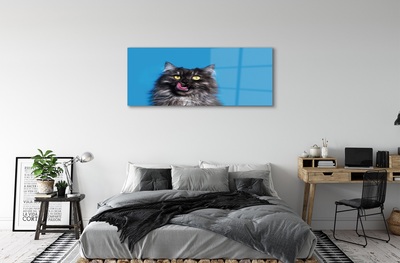 Obraz na szkle Oblizujący się kot