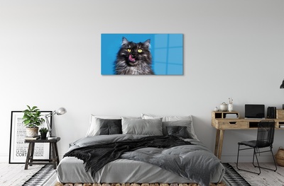 Obraz na szkle Oblizujący się kot
