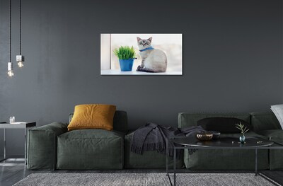 Obraz na szkle Siedzący kot