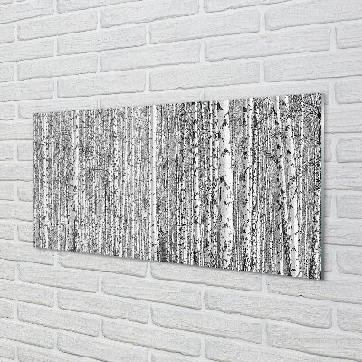 Obraz na szkle Czarno-białe drzewa las