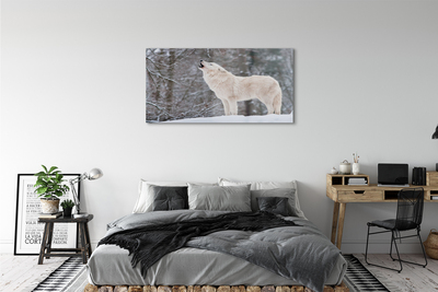 Obraz na szkle Wilk las zima
