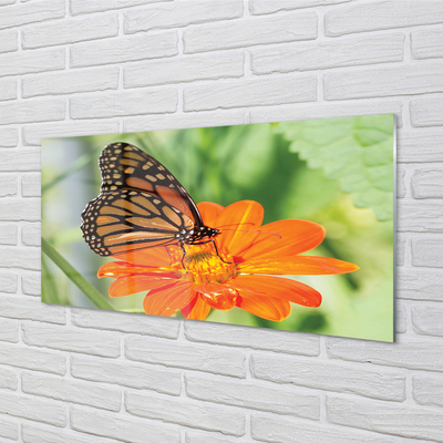 Obraz na szkle Kwiat kolorowy motyl