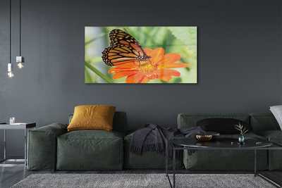 Obraz na szkle Kwiat kolorowy motyl