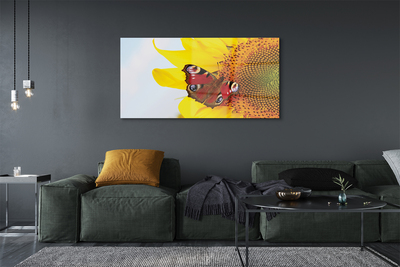 Obraz na szkle Słonecznik motyl
