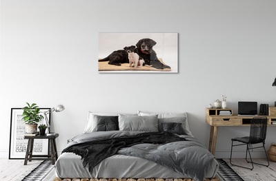 Obraz na szkle Leżące psy
