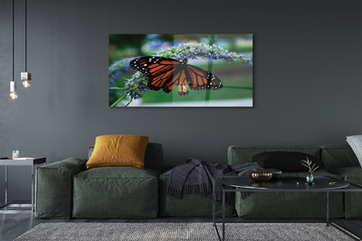 Obraz na szkle Motyl na kwiatku