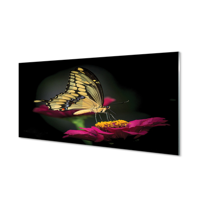 Obraz na szkle Motyl na kwiatku