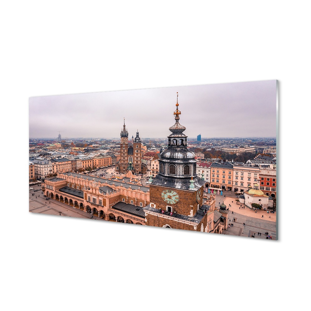 Obrazy na szkle Kraków Panorama zima kościoły
