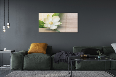 Obraz na szkle Biała magnolia