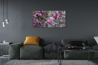 Obraz na szkle Fioletowa magnolia