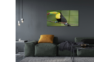 Obraz na szkle Kolorowa papuga na gałęzi