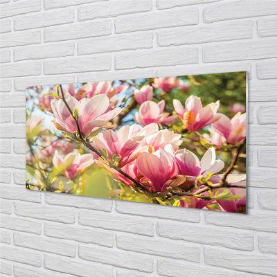 Obraz na szkle Różowa magnolia