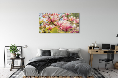 Obraz na szkle Różowa magnolia