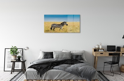 Obraz na szkle Zebra pole