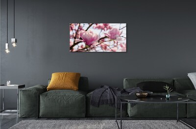 Obraz na szkle Magnolia drzewa