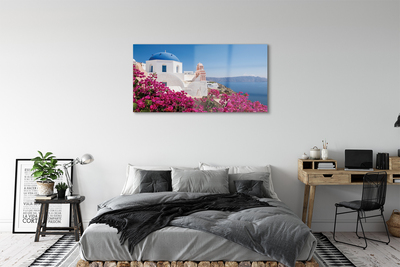 Obraz na szkle Grecja Kwiaty morze budynki