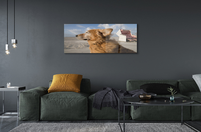 Obraz na szkle Brązowy pies plaża