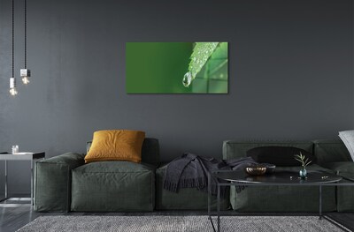 Obraz na szkle Kropla woda liść