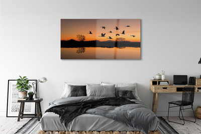 Obraz na szkle Lecące ptaki zachód słońca
