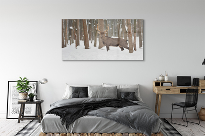 Obraz na szkle Jeleń zima las